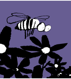 fly050402